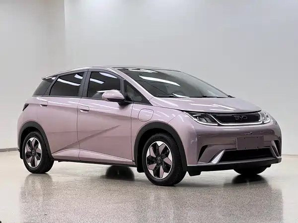 BYD Dolphin 2024