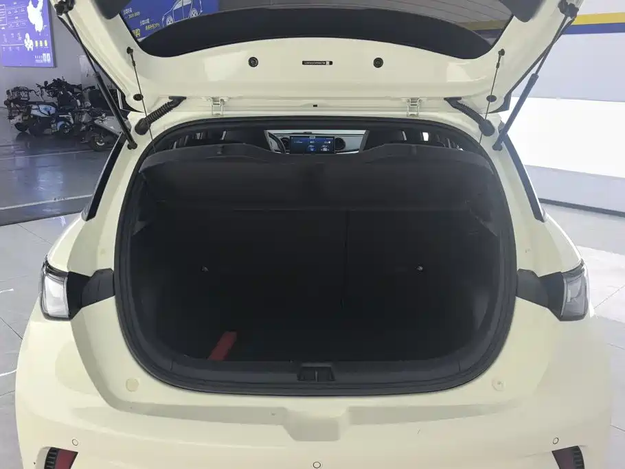 BYD Dolphin 2023