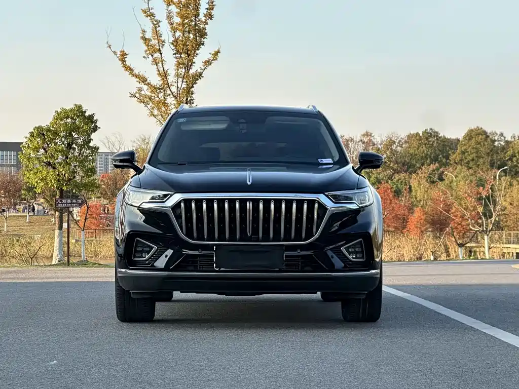 Hongqi HS5 2021