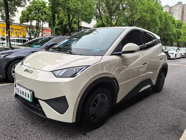 BYD Seagull 2025