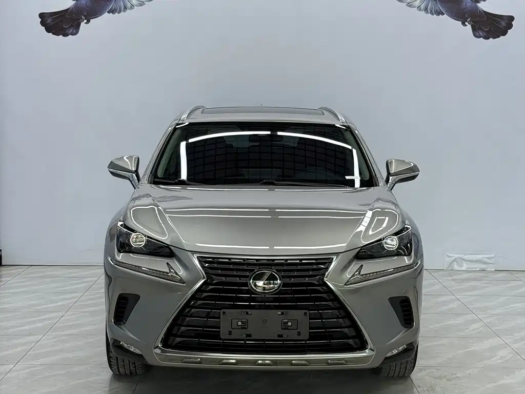 Lexus NX 2020 — фото 2