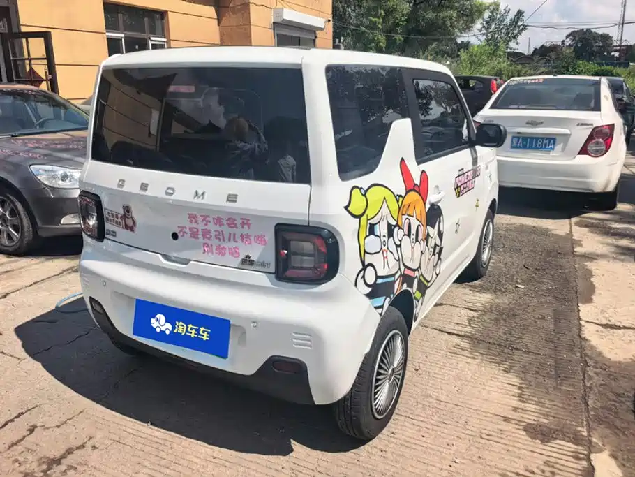 Geely Galaxy Panda 2024 — фото 3