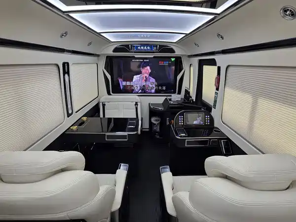 Hongqi Golden Sunflower 2024