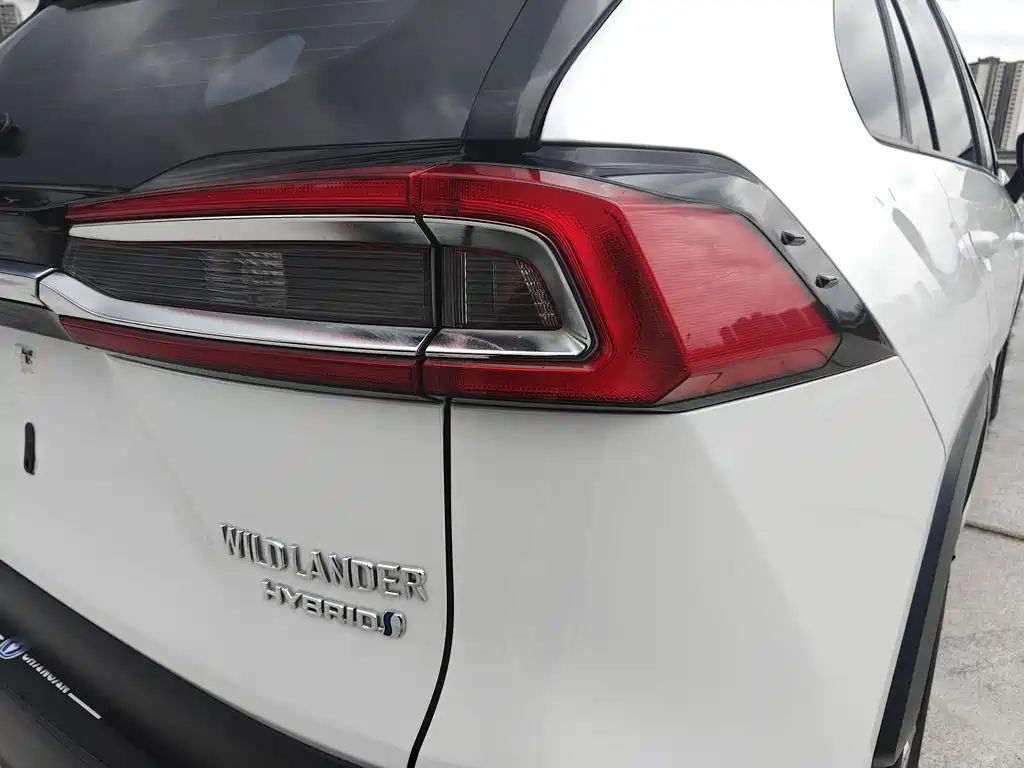 Toyota Wildlander 2021 — фото 11