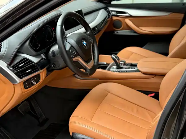 BMW X6 2019
