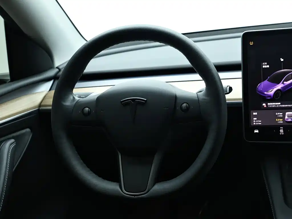 Tesla Model Y 2021 — фото 16