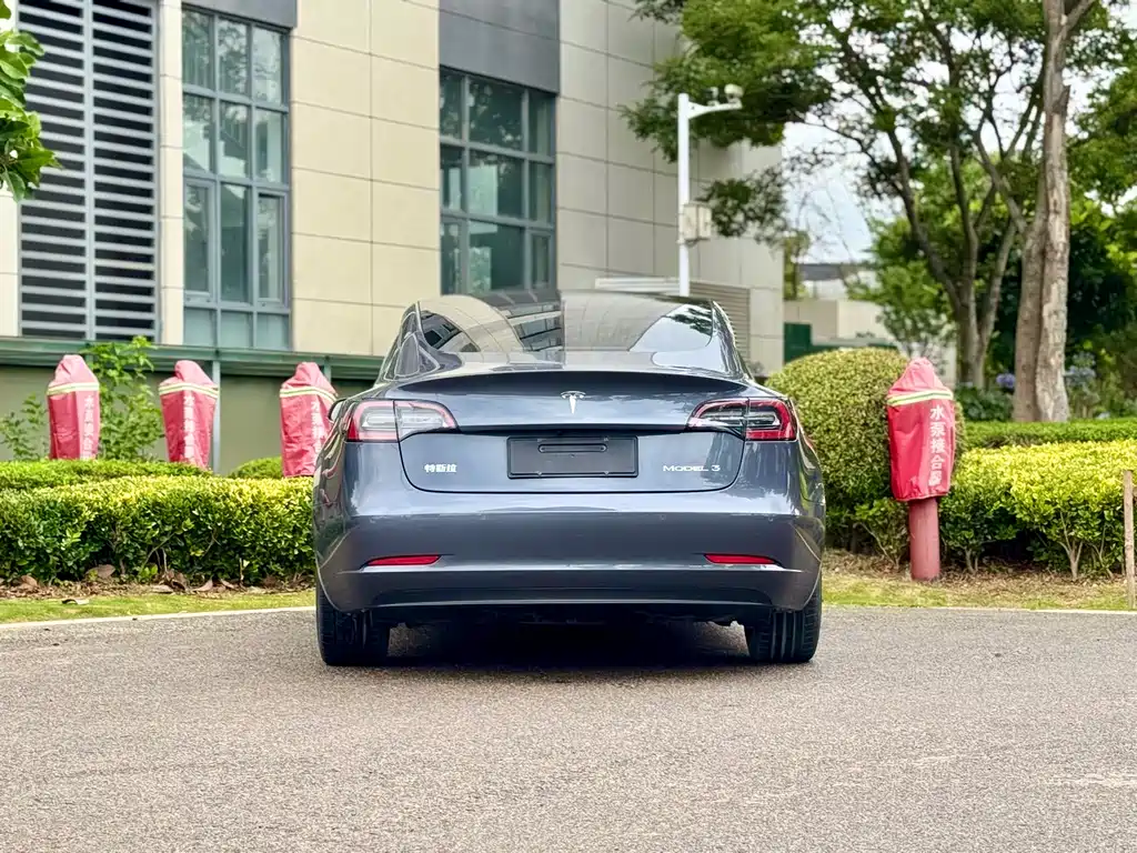 Tesla Model 3 2020 — фото 8