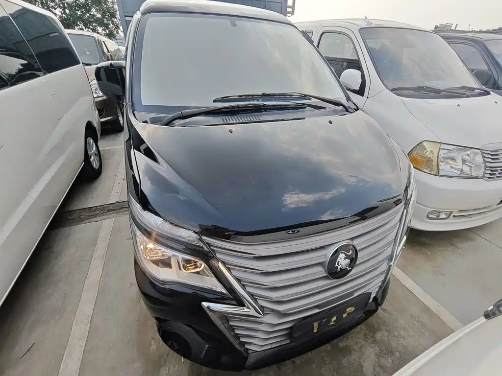Dongfeng Lingzhi 2024