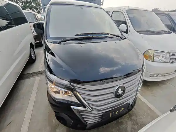 Dongfeng Lingzhi 2024