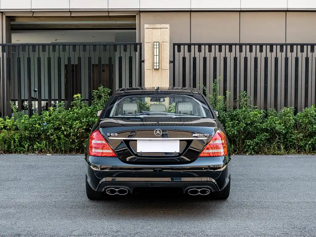 Mercedes-Benz S-Class AMG 2010 — фото 5