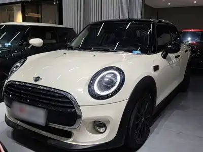 MINI MINI 2018