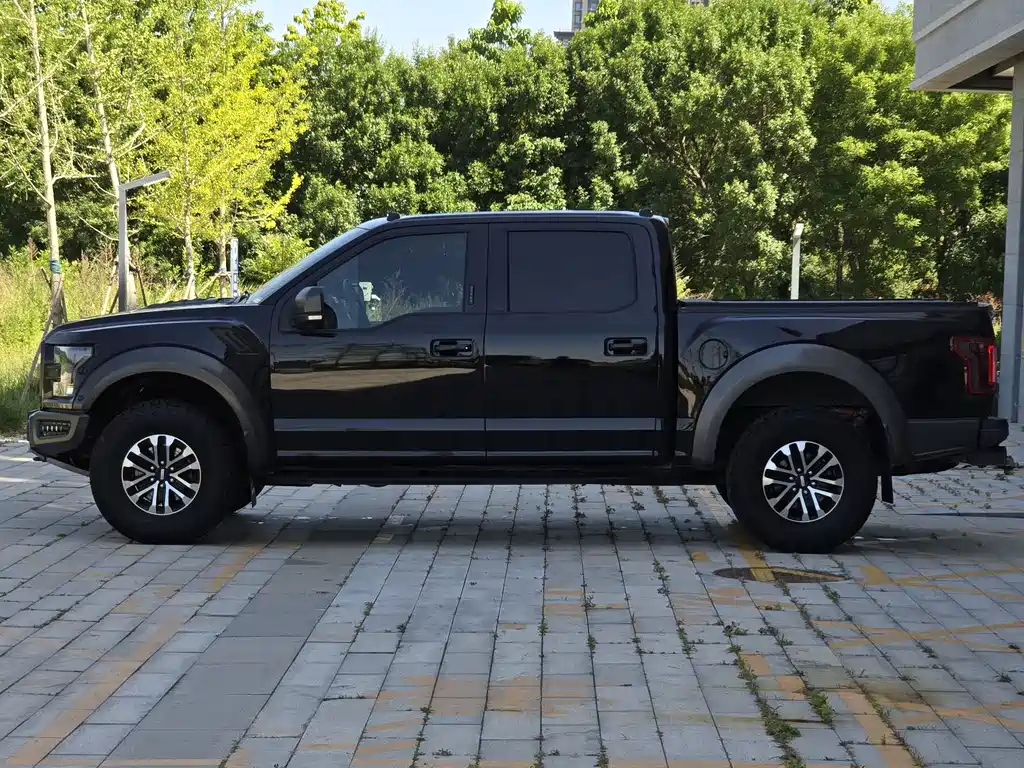 Ford F-150 Raptor 2019 — фото 3