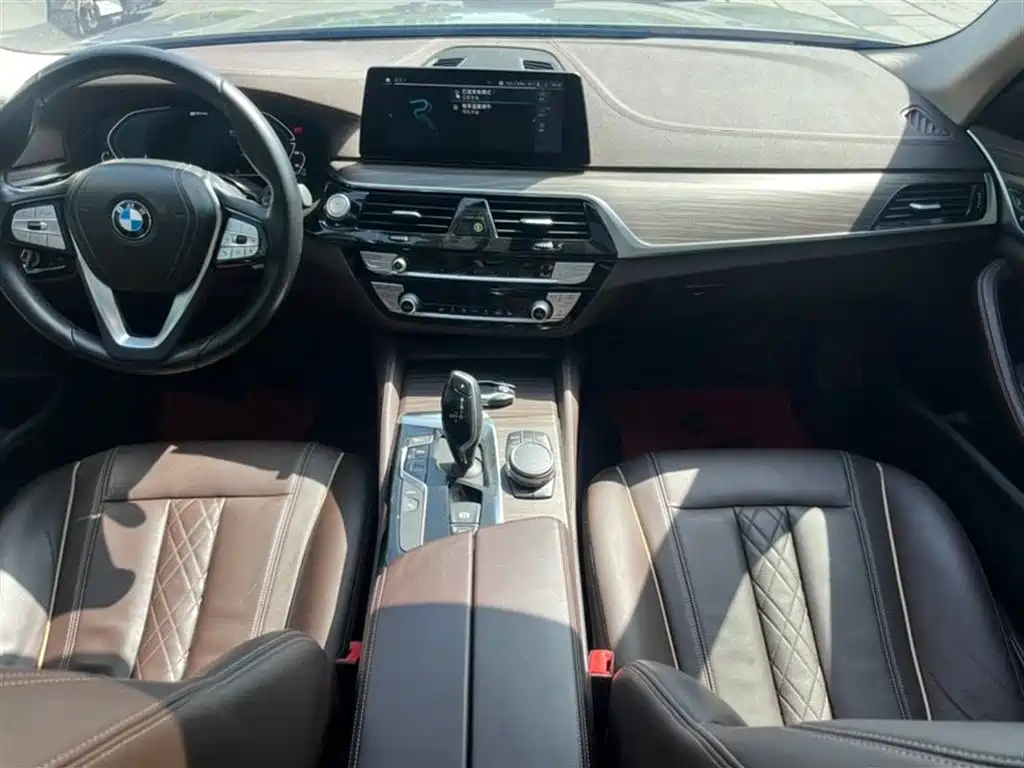 BMW 5 Series New Energy 2020