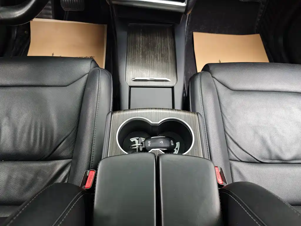Tesla Model X 2016 — фото 10