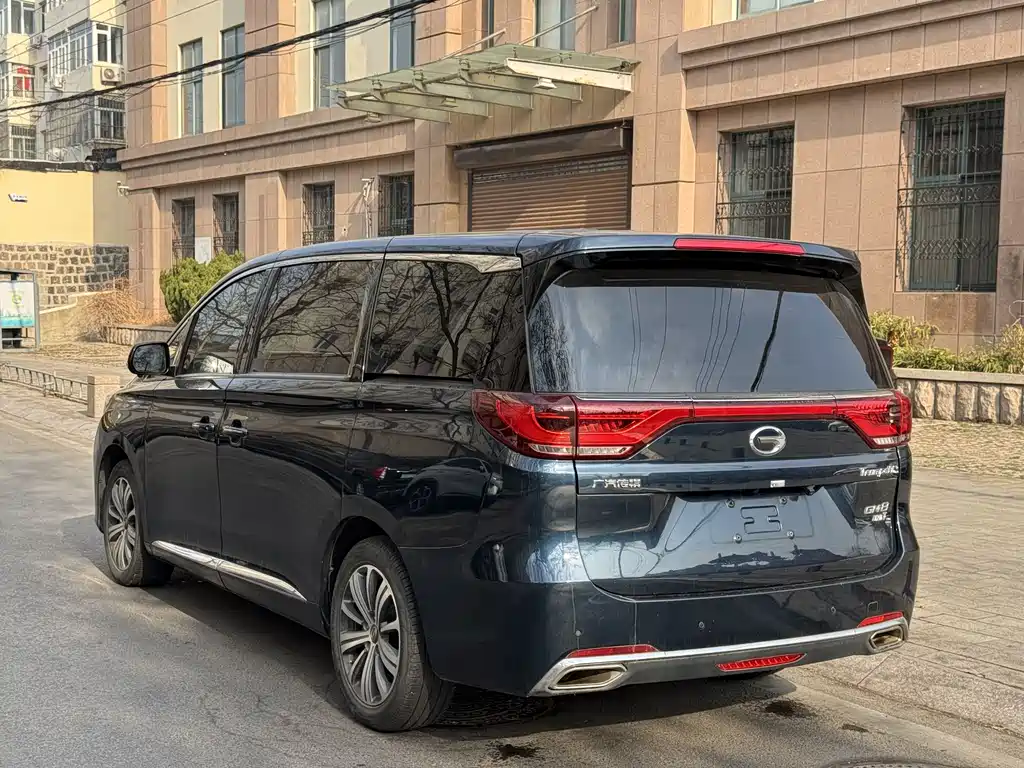 GAC Motor Trumpchi M8 2019 — фото 9