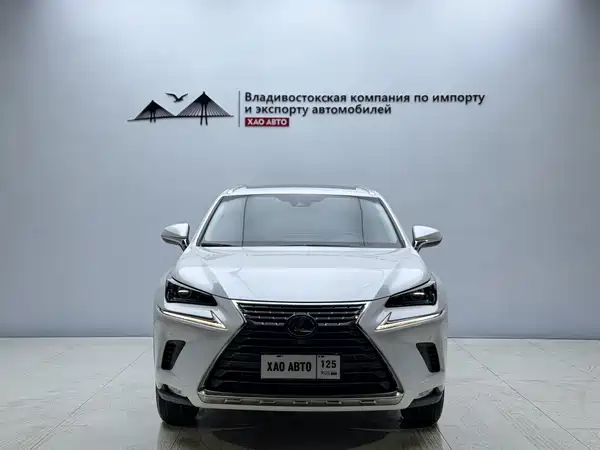 Lexus NX 2019