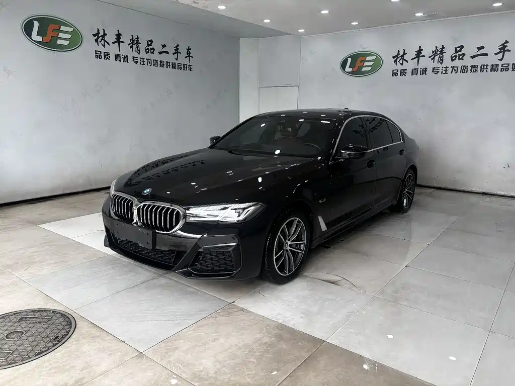 BMW 5 Series New Energy 2024