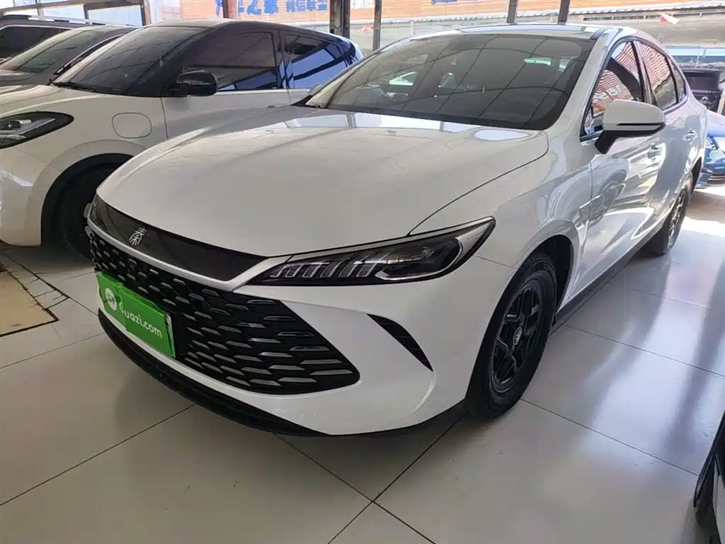 BYD Qin PLUS 2025 — фото 1