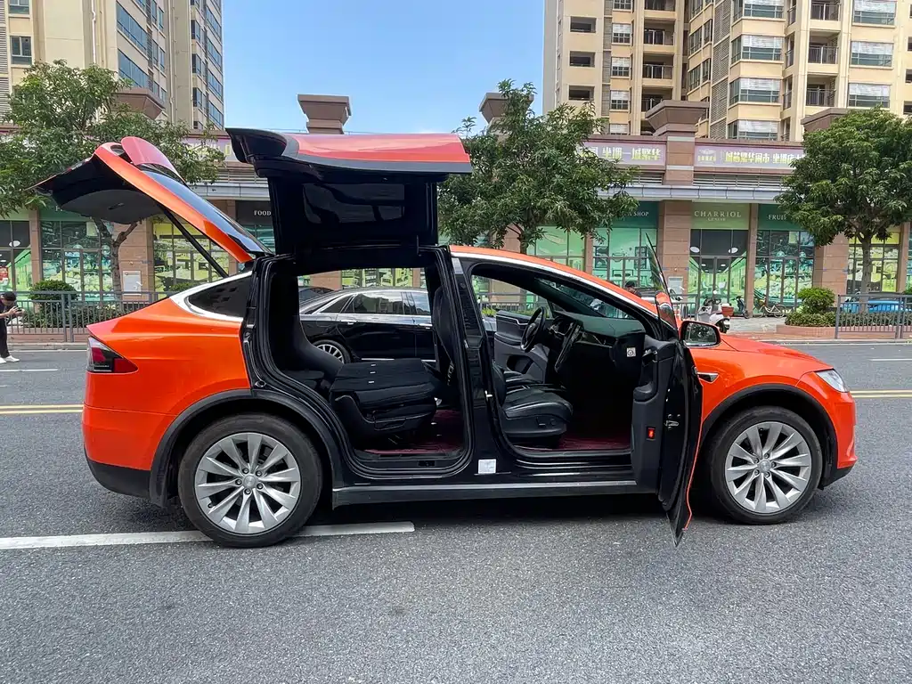 Tesla Model X 2019 — фото 21