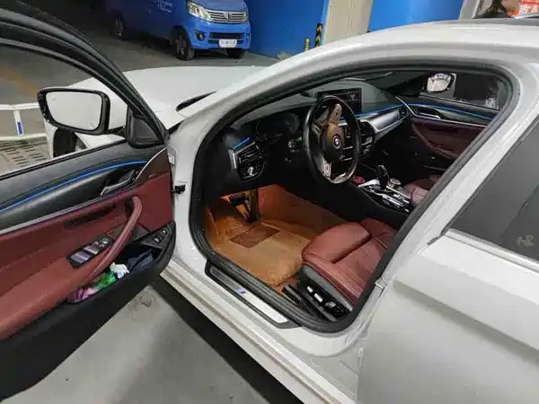 BMW 5 Series New Energy 2023