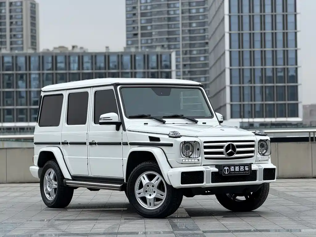 Mercedes-Benz G-Class 2018 — фото 3