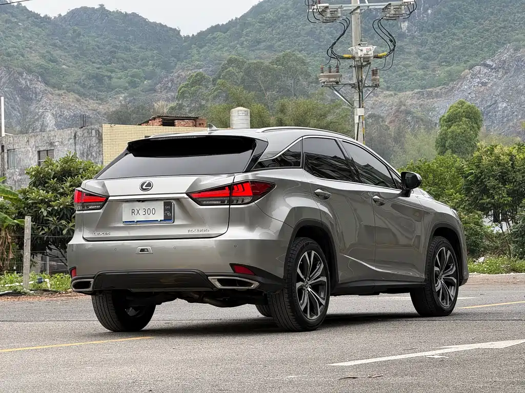 Lexus RX 2022 — фото 16