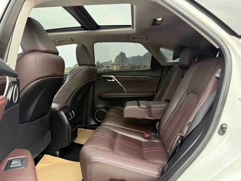 Lexus RX 2020 — фото 14