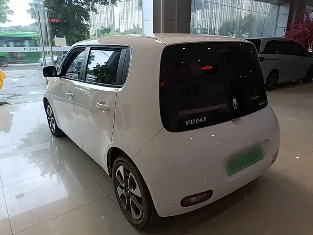 Ora White Cat 2022
