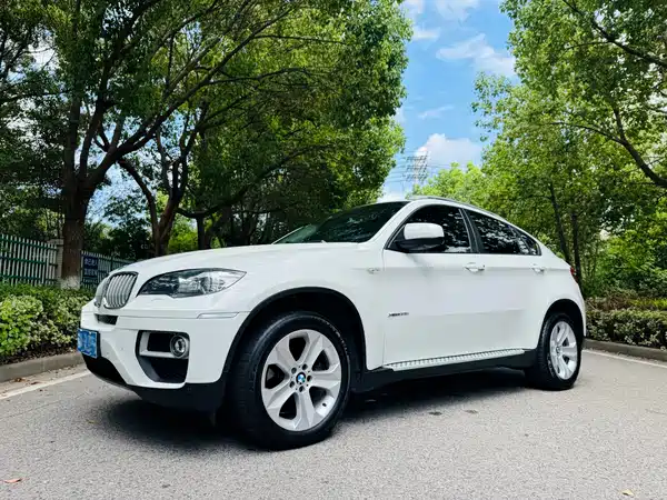 BMW X6 2014