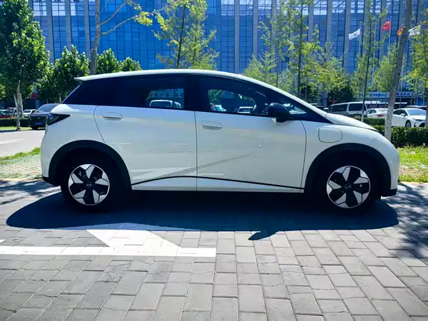 BYD Dolphin 2026