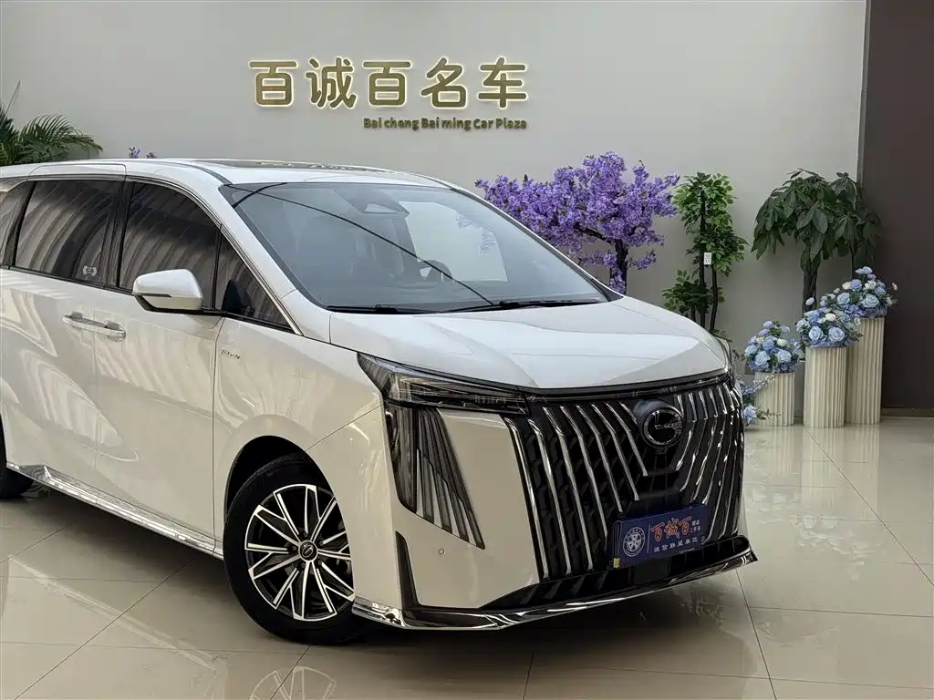 GAC Motor Trumpchi M8 2024 — фото 5