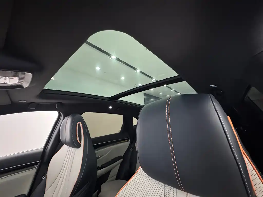 BYD Song PLUS New Energy 2023 — фото 21