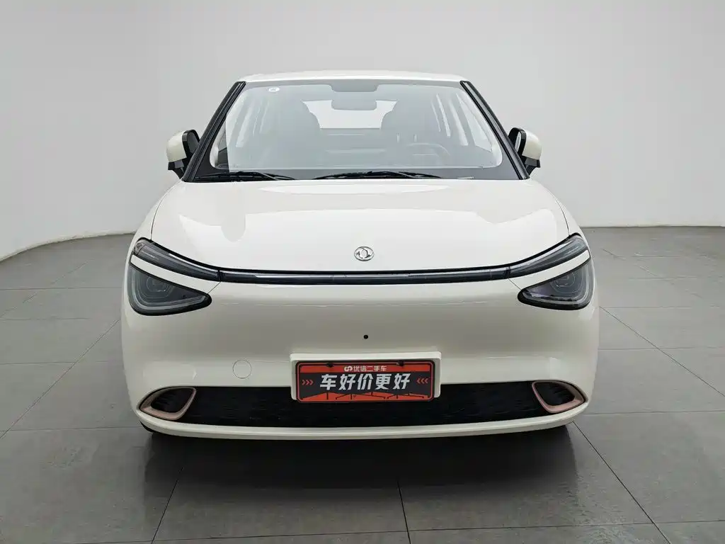 Dongfeng Nano 01 2025