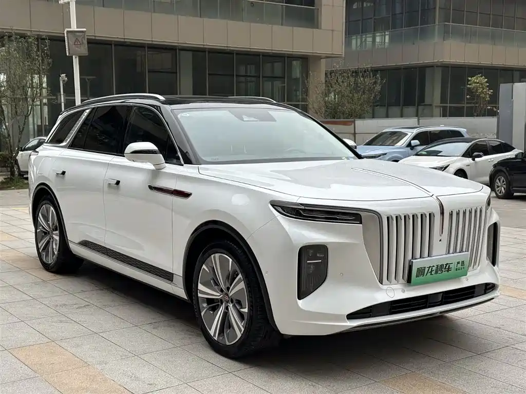 Hongqi E-HS9 2023 — фото 5