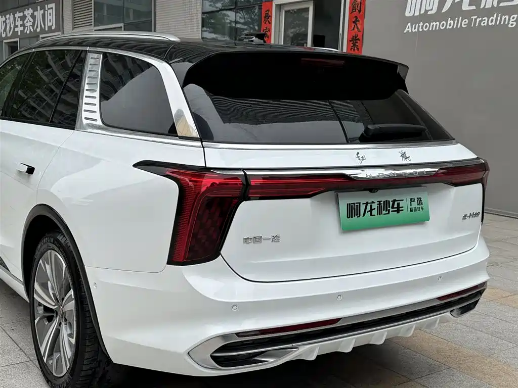 Hongqi E-HS9 2023 — фото 22