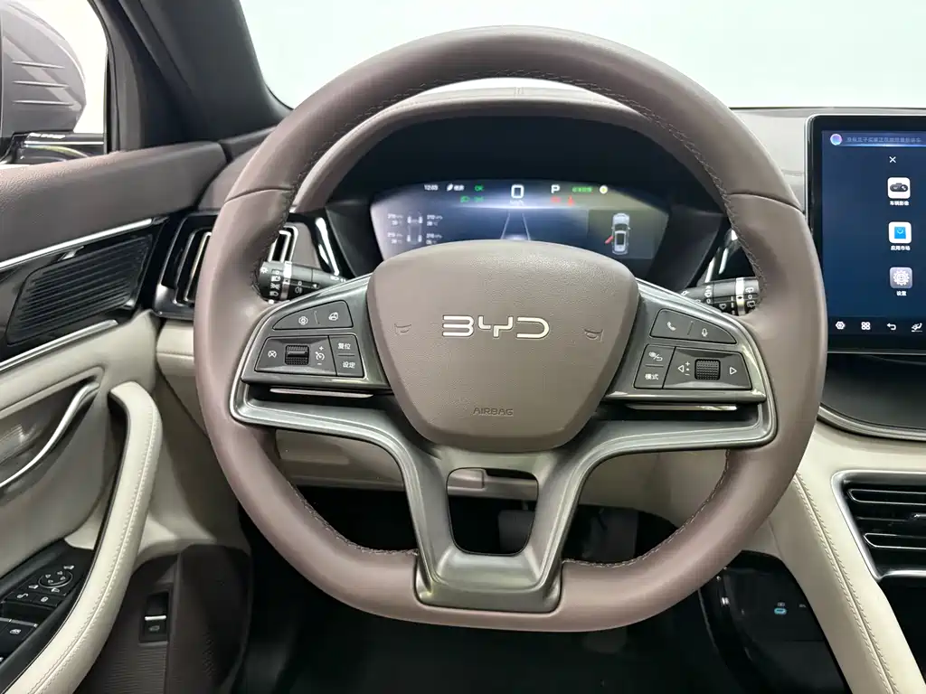 BYD PLUS New Energy 2024 — фото 14