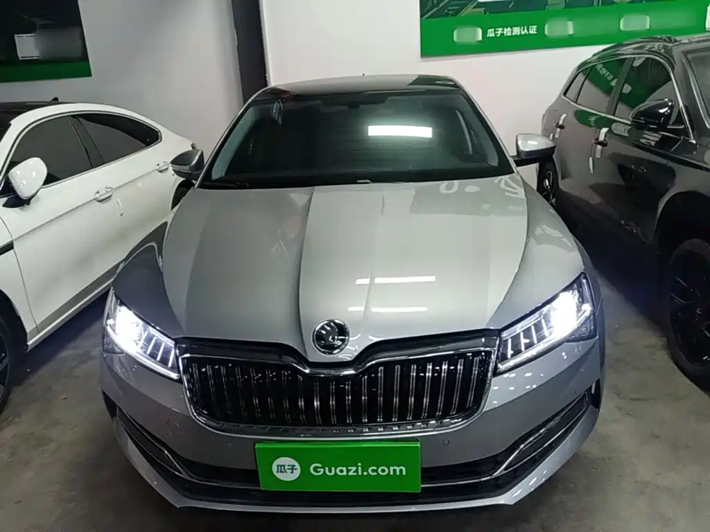Skoda Speedy 2024
