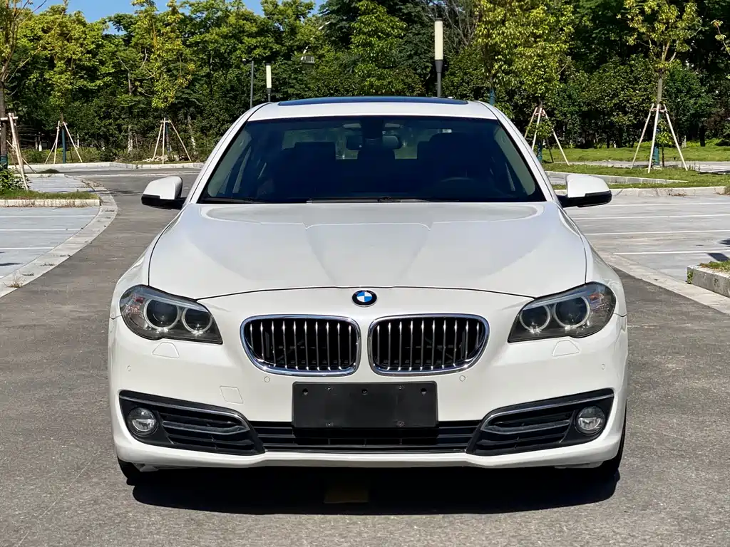 BMW 5 Series 2015 — фото 1