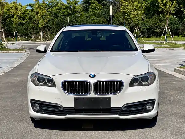 BMW 5 Series 2014