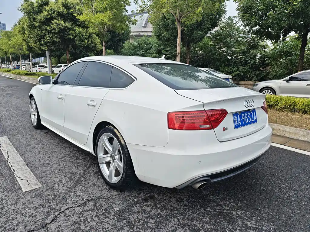 Audi S5 2013
