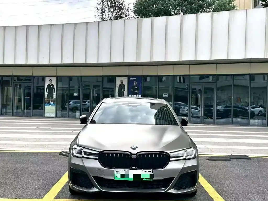 BMW 5 Series New Energy 2020