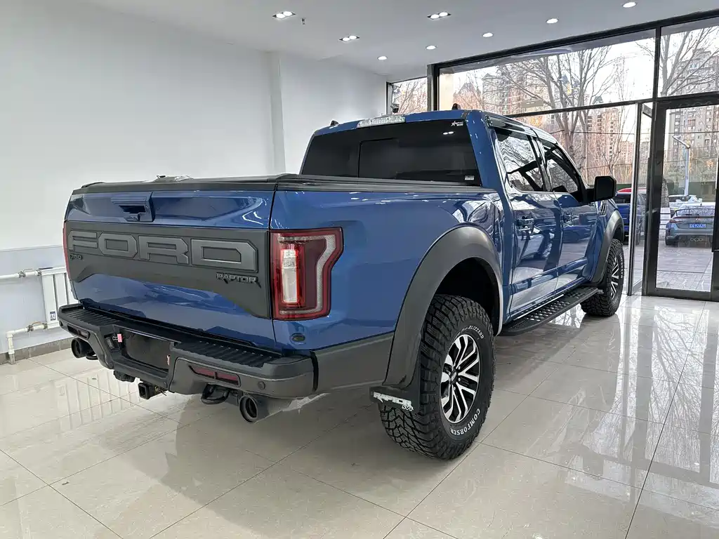 Ford F-150 Raptor 2020 — фото 17