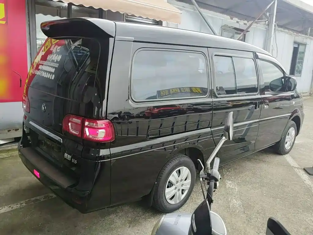 Fengxing Lingzhi 2024
