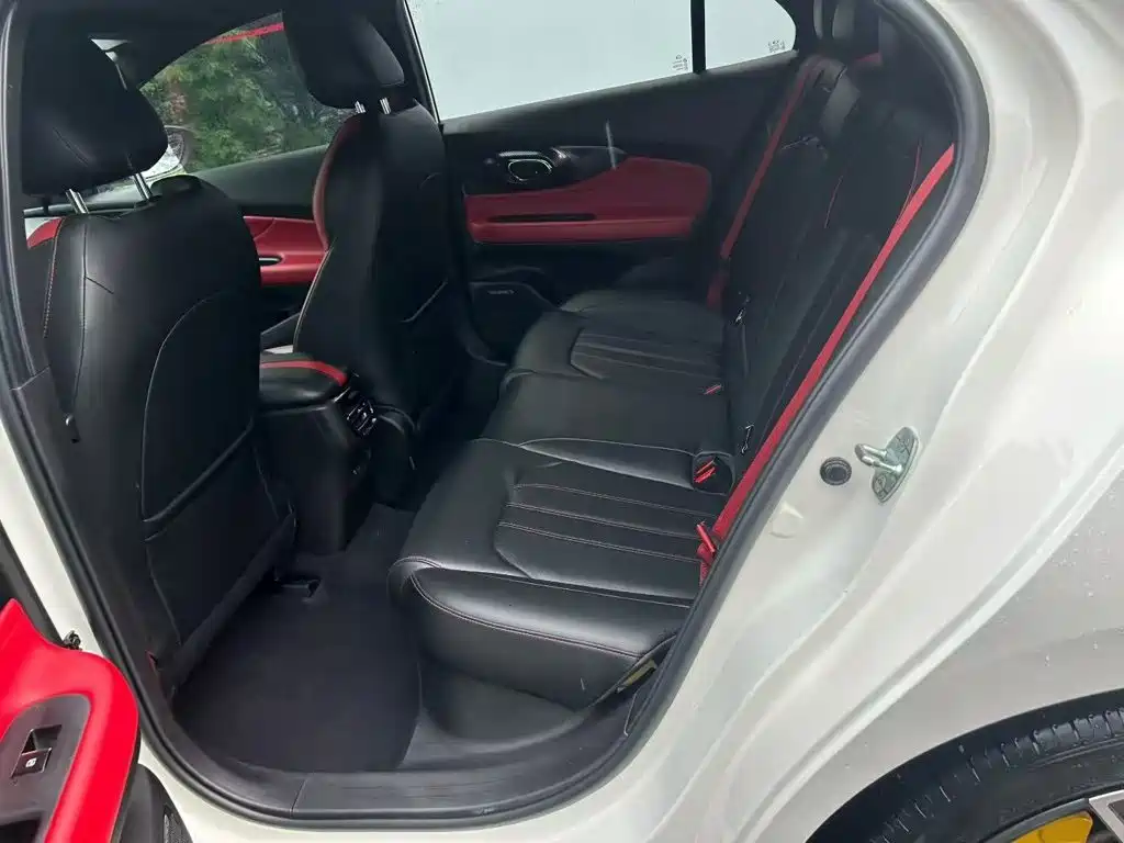 GAC Motor Shadow Leopard 2023 — фото 17