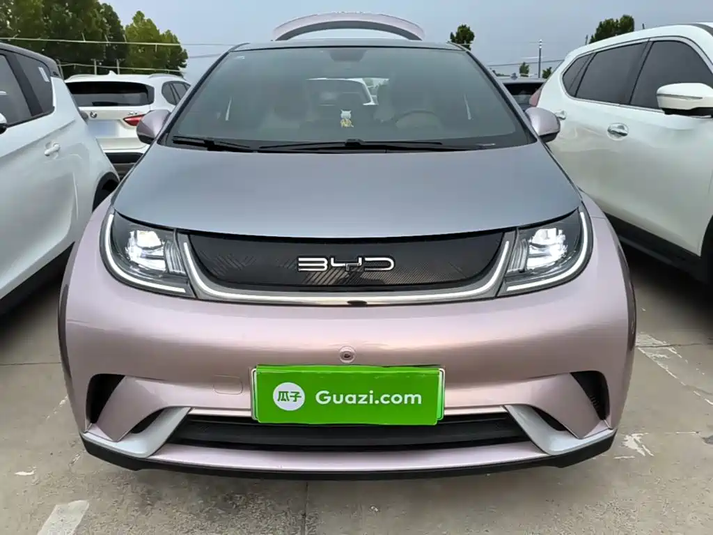 BYD Dolphin 2022