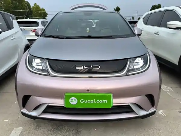 BYD Dolphin 2022