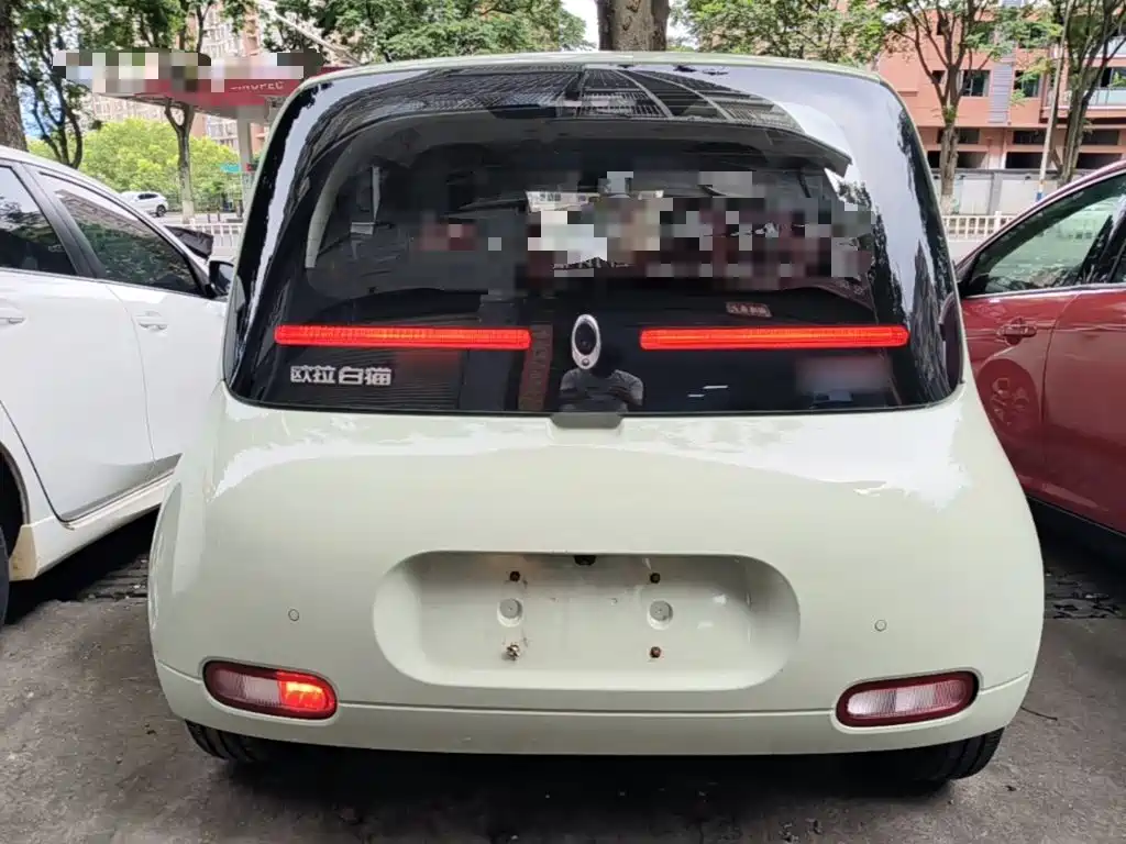 Ora White Cat 2021