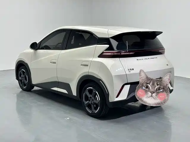 BYD Seagull 2023 — фото 16