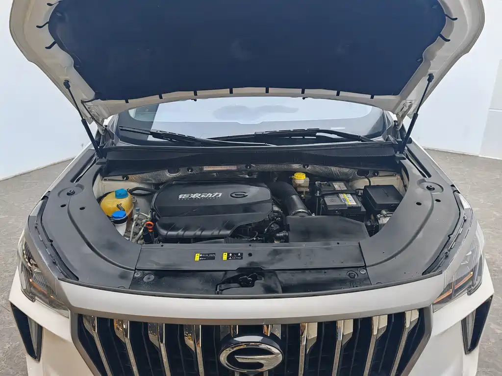 GAC Motor GS4 Plus 2023 — фото 13