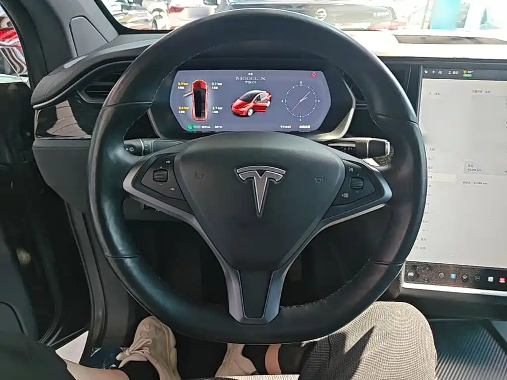 Tesla Model X 2019 — фото 11